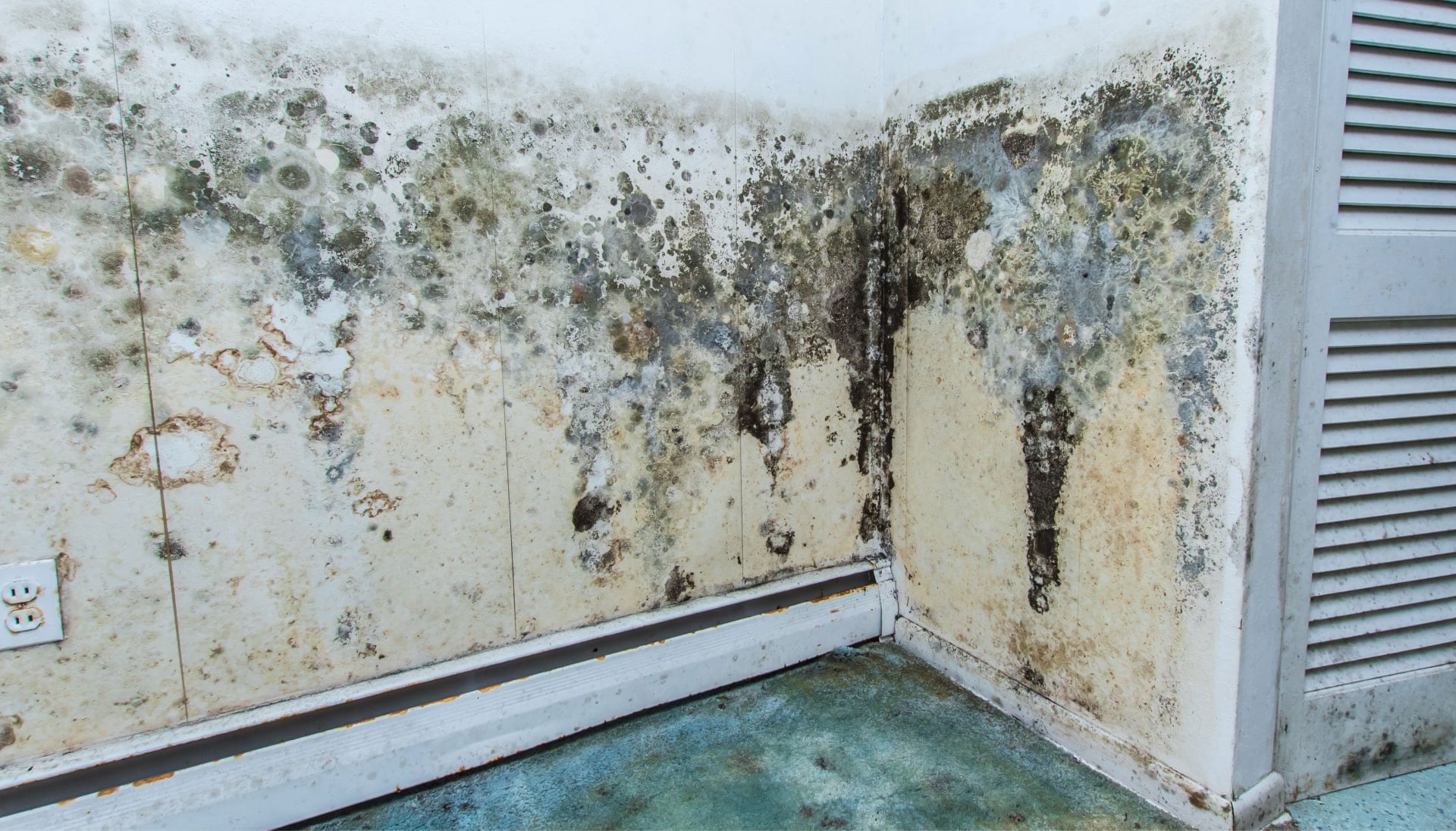 Mold Damage Odor Control Services in Syracuse