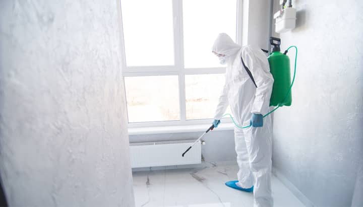 Mold Inspection Services in Syracuse